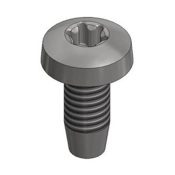 Rvs zelftapbout M6x10mm - T30