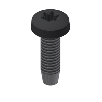 Rvs. Zelftapbout M6x20mm - T30 Zwart